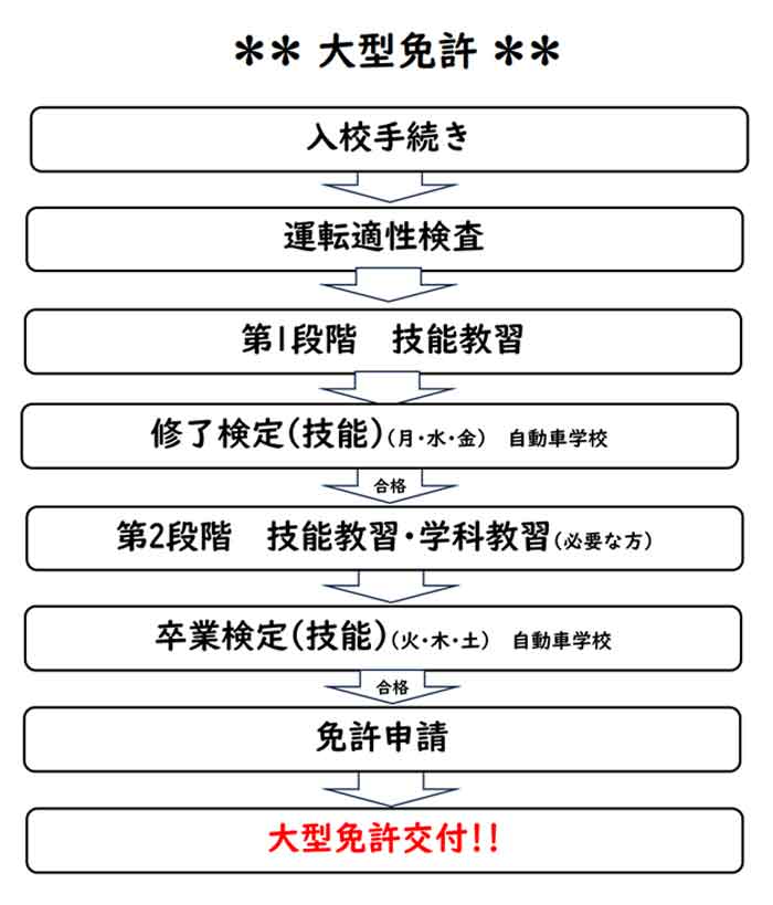 大型免許